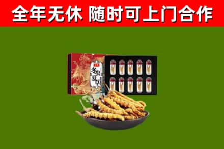 禅城回收冬虫夏草价格